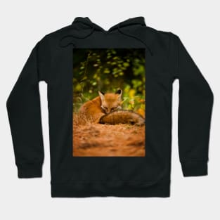 Red Fox Hoodie